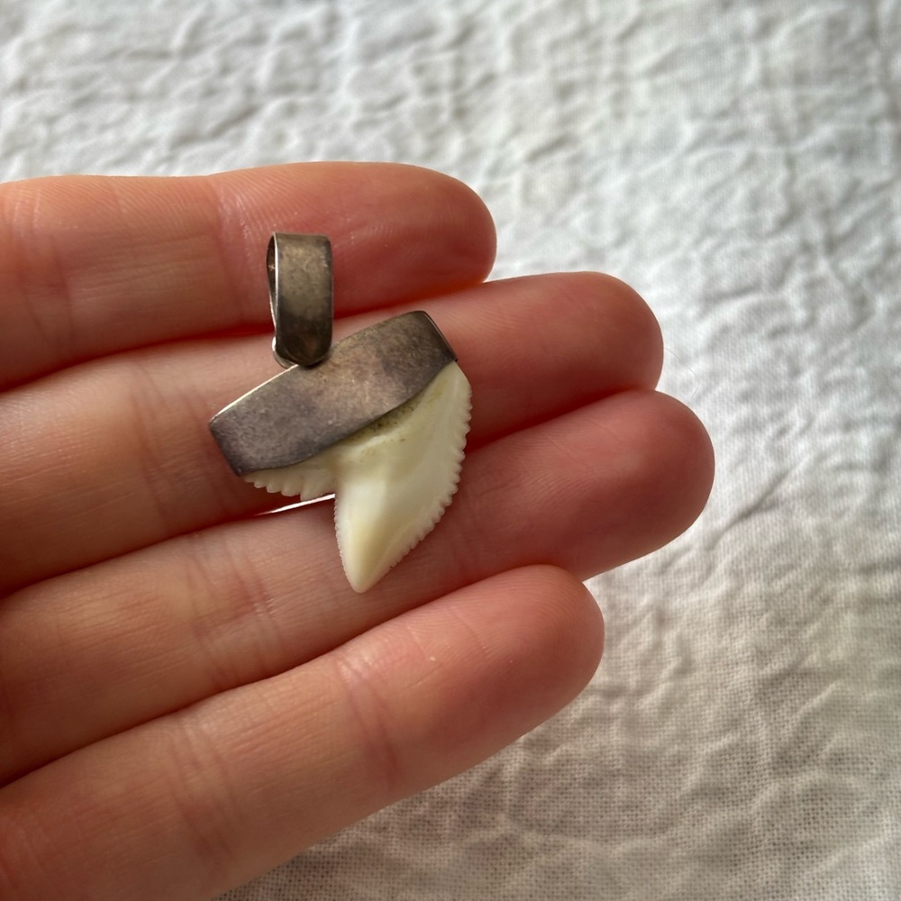 Shark tooth pendant